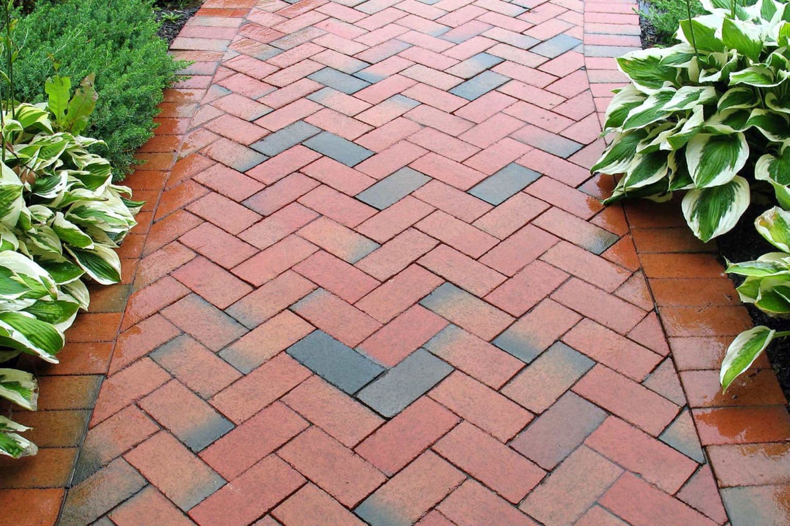banner-clean-paved-walkway-1536x1024 (1)