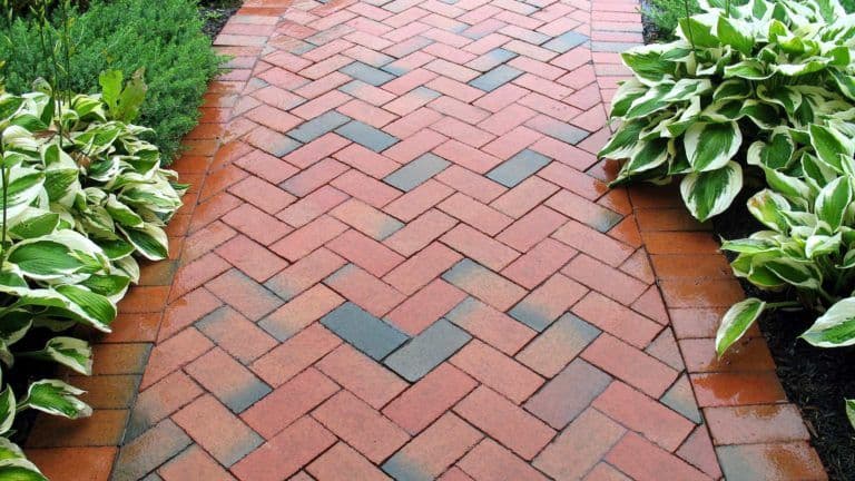 banner-clean-paved-walkway-768x432