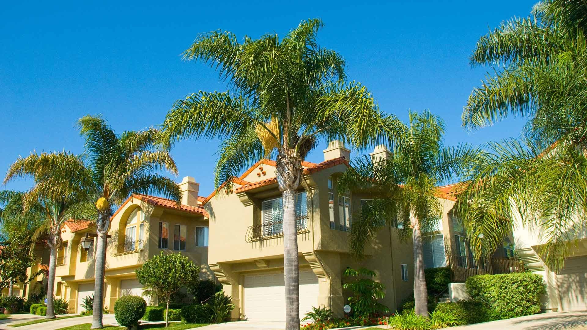 banner-tropical-front-landscaping (2)
