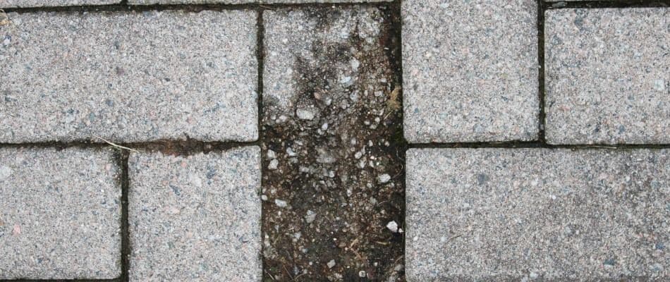 broken-paver-in-middle-of-patio