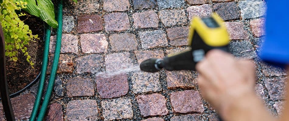 professional-using-cleaning-spray-on-pavers