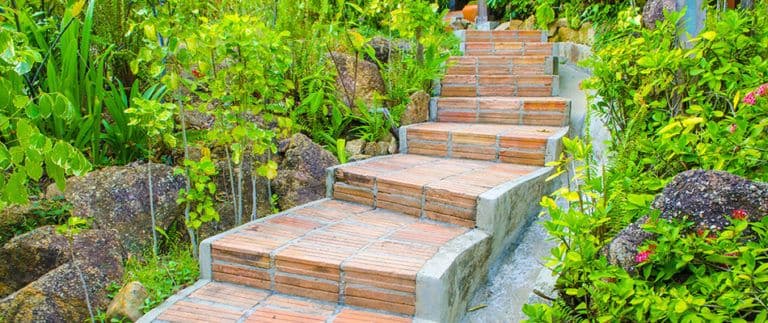 content-steps-through-vegitation-768x323