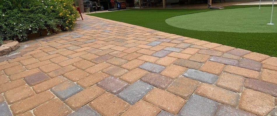 content-stone-paver-walkway-installed-by-backyard-mini-green