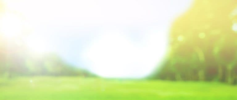 content-sun-blurred-768x323