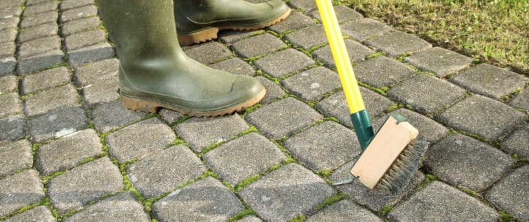 content-sweeping-paver-walkway-768x323
